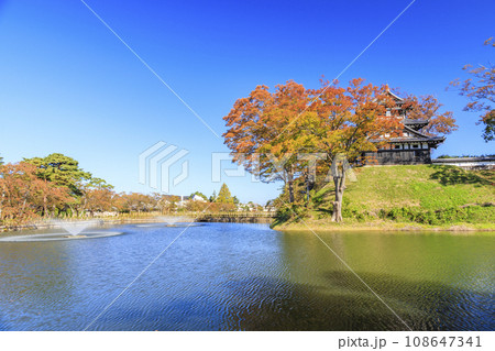 新潟　高田城址の紅葉 108647341