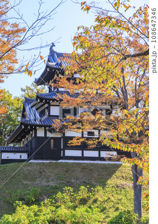 新潟　高田城址の紅葉 108647346