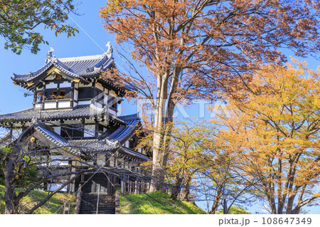 新潟　高田城址の紅葉 108647349