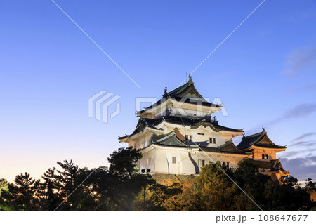 和歌山県和歌山市　和歌山城の夕景　ライトアップ 108647677