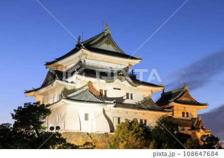和歌山県和歌山市　和歌山城の夕景　ライトアップ 108647684