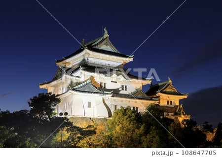 和歌山県和歌山市　夜の和歌山城　ライトアップ 108647705