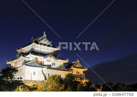 和歌山県和歌山市　夜の和歌山城　ライトアップ 108647708
