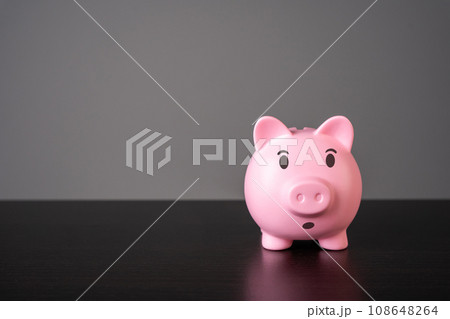 Surprised pig piggy bank. How to keep savings. Safe investment. Financial literacy. Banking secrecy. Audit and accounting. How to pay taxes. Economic forecasting. Finance guide. Retirement planning 108648264
