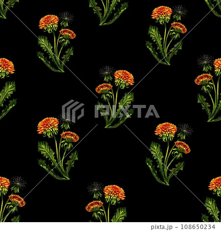 Seamless pattern with dandelions. Watercolor illustration drawn by hand. On a black background. For textiles, packaging and backgrounds. For both wallpaper and printing. Seamless pattern with dandelions. Watercolor illustration drawn by hand. On a black background. For textiles, packaging and backgrounds. For both wallpaper and printing. 108650234