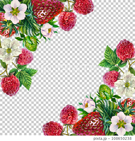 Berries. Frame with strawberries and raspberries. Hand-drawn watercolor illustration. For packaging, labels and textiles. For banners, prints, stickers, as well as seasonal postcards, flyers and menu 108650238