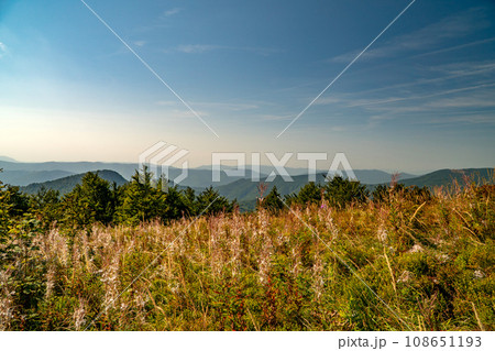 The Bieszczady Mountains, Carpathians, Poland. 108651193