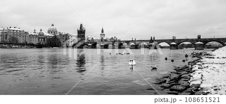 Charles Bridge and Vltava river in wintertime. Ducks and white swan in cold water. Prague, Czech Republic. Black and white image. Charles Bridge and Vltava river in wintertime. Ducks and white swan in cold water. Prague, Czech Republic. Black and white image. 108651521