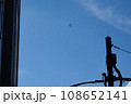 見上げた空に飛行機 108652141