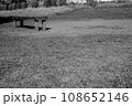 朽ちたベンチ 108652146