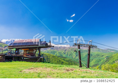 (長野県)白馬八方尾根・北尾根高原 初夏のゲレンデ (長野県)白馬八方尾根・北尾根高原 初夏のゲレンデ 108652425