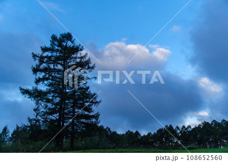 夜明けの雲 夜明けの雲 108652560