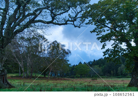 夜明けのカヤの平 108652561