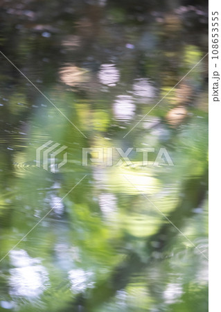 水面に映る新緑（大山鏡ヶ成） 108653555