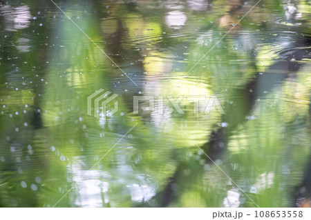 水面に映る新緑(大山鏡ヶ成) 水面に映る新緑(大山鏡ヶ成) 108653558