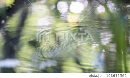 水面に映る新緑(大山鏡ヶ成) 水面に映る新緑(大山鏡ヶ成) 108653562