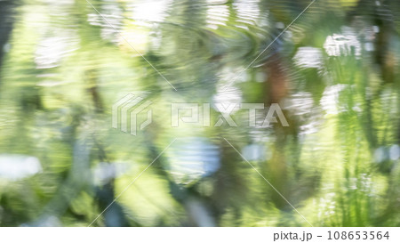 水面に映る新緑(大山鏡ヶ成) 水面に映る新緑(大山鏡ヶ成) 108653564