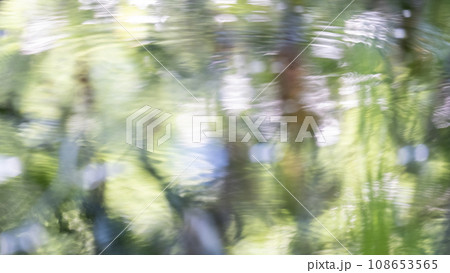 水面に映る新緑(大山鏡ヶ成) 水面に映る新緑(大山鏡ヶ成) 108653565