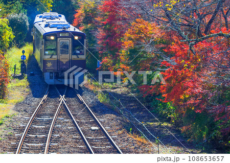 紅葉とわたらせ渓谷鉄道2 108653657