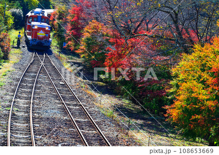 紅葉とわたらせ渓谷号1 紅葉とわたらせ渓谷号1 108653669