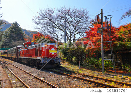 紅葉とわたらせ渓谷号3 紅葉とわたらせ渓谷号3 108653764