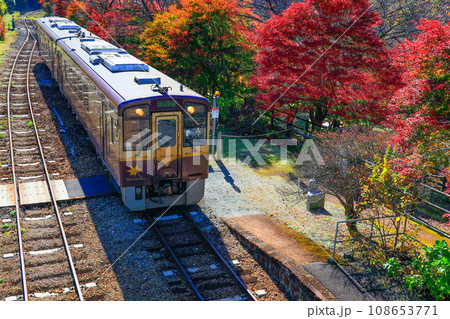 紅葉のわたらせ渓谷鉄道1 108653771