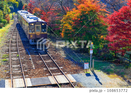 紅葉のわたらせ渓谷鉄道2 108653772