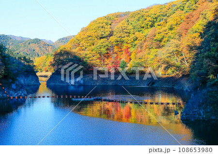 秋の園原湖 秋の園原湖 108653980