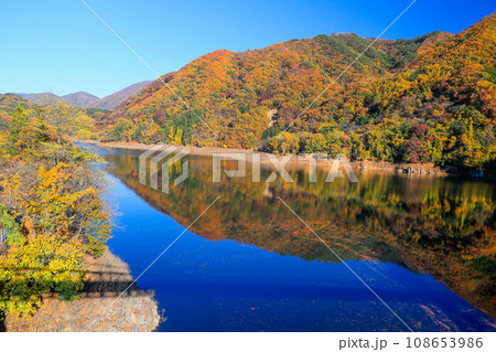 紅葉の園原湖 紅葉の園原湖 108653986