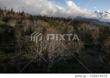 知床峠の朝焼け 108654029