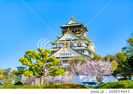 大坂城　満開の桜と天守 108654643