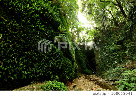 伊尾木洞　【高知県安芸市伊尾木】 108655041