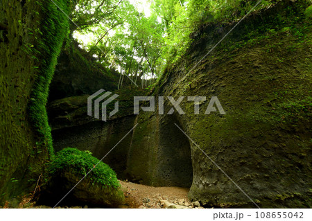 伊尾木洞　【高知県安芸市伊尾木】 108655042