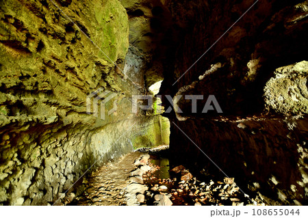 伊尾木洞 【高知県安芸市伊尾木】 伊尾木洞 【高知県安芸市伊尾木】 108655044