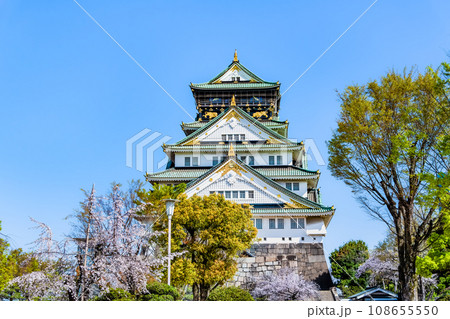 大坂城 満開の桜と天守 108655550