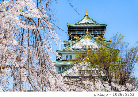大坂城 満開の桜と天守 108655552
