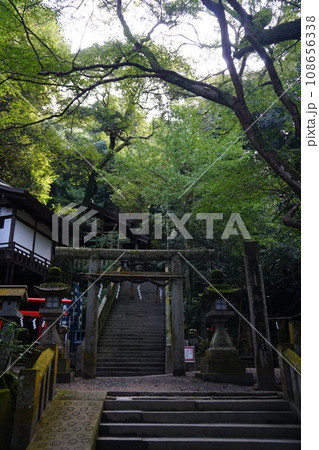 大阪にある神秘的な神社 大阪にある神秘的な神社 108656338