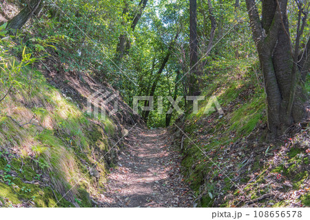 群馬県／新田金山城跡【国指定史跡・日本100名城】西櫓台下の堀切 108656578