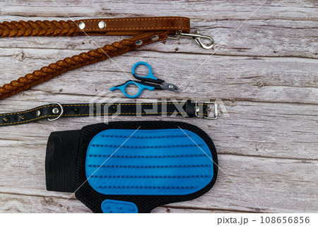 Dog accessories on wood background. Blue rubber grooming glove, claw clipper, brown leather leash and spiked collar for dog on wooden background. Top view. Pet care concept Dog accessories on wood background. Blue rubber grooming glove, claw clipper, brown leather leash and spiked collar for dog on wooden background. Top view. Pet care concept 108656856