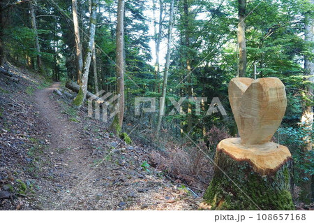 ハートマークに型取られた樹木アート in フランス 108657168