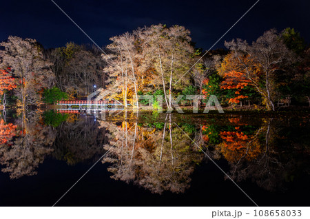 八郎沼の紅葉ライトアップ 108658033
