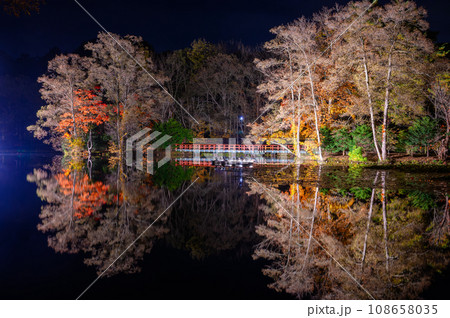 八郎沼の紅葉ライトアップ 108658035