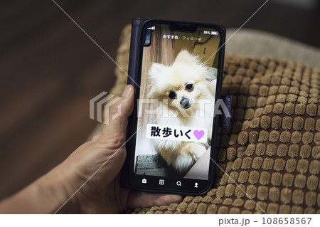 ペットのショート動画 108658567