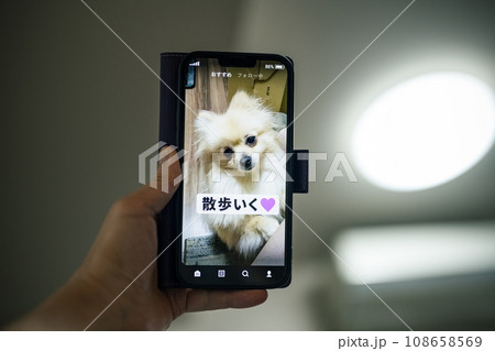 ペットのショート動画 108658569