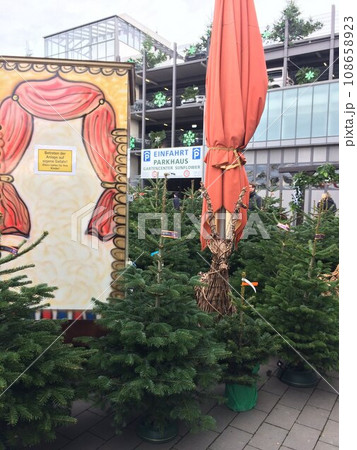ドイツのクリスマスツリー売り場 108658923