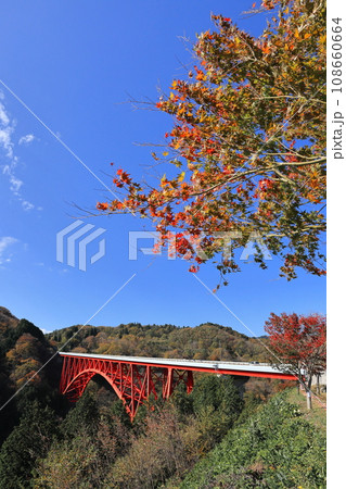 奥出雲おろちループの紅葉 2 奥出雲おろちループの紅葉 2 108660664