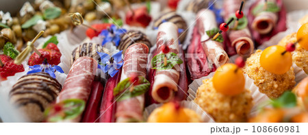 Catering service. Set of beautiful canapes. Buffet table. Shallow depth of view. 108660981