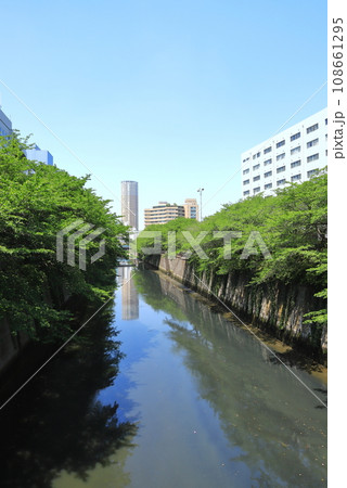 新緑の目黒川 東京都 タテ位置 新緑の目黒川 東京都 タテ位置 108661295