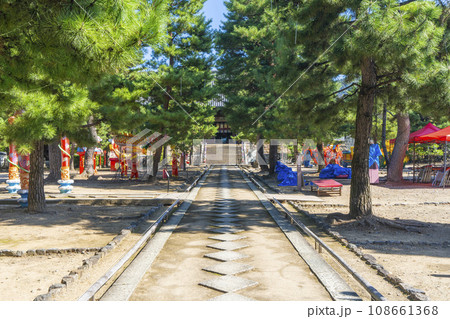 黄檗宗大本山「萬福寺」　天王殿へ向かう参道　--黄檗ランタンフェスティバル-- 108661368