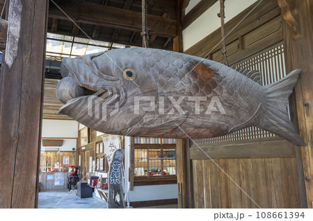 黄檗宗大本山「萬福寺」開梆 --巨大な木製の魚-- 黄檗宗大本山「萬福寺」開梆 --巨大な木製の魚-- 108661394